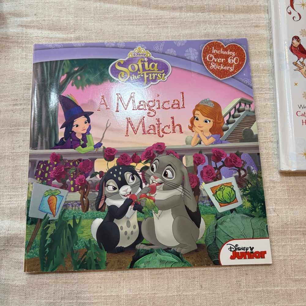 Disney Sofia the First Book Lot Holiday in Enchancia Magical Match Costume Ball - Picture 6 of 16